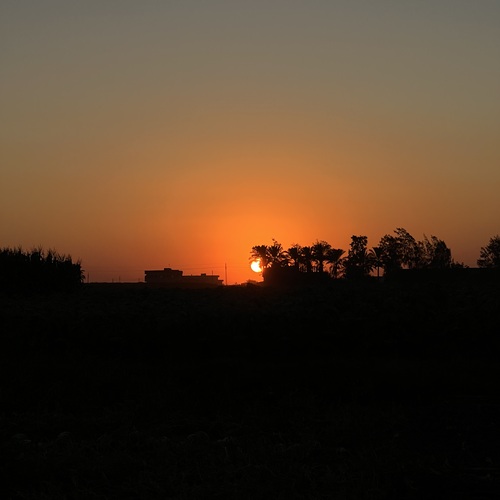 Photo #13993110
