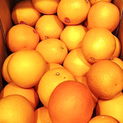 Photo #13993123
