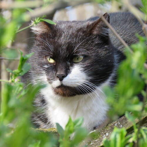 Photo #13993215