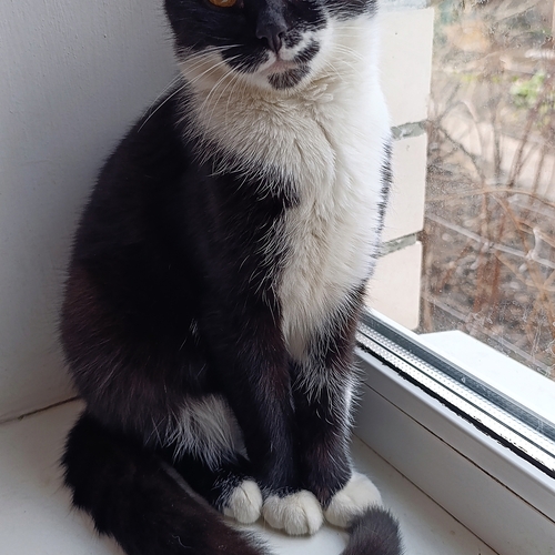 Photo #13993263