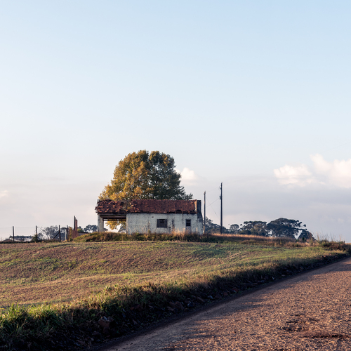 Photo #13993547