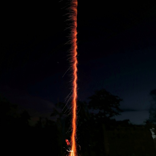 Photo #13993629