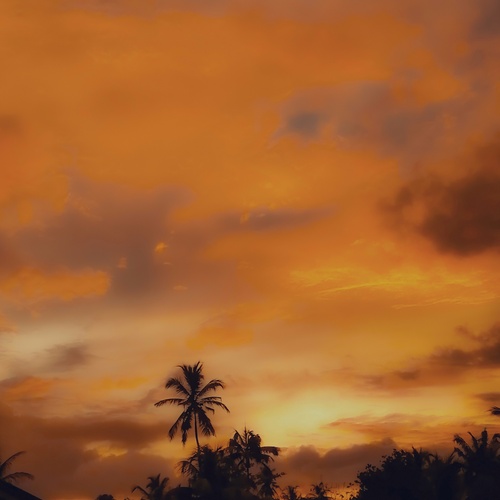 Photo #13993630