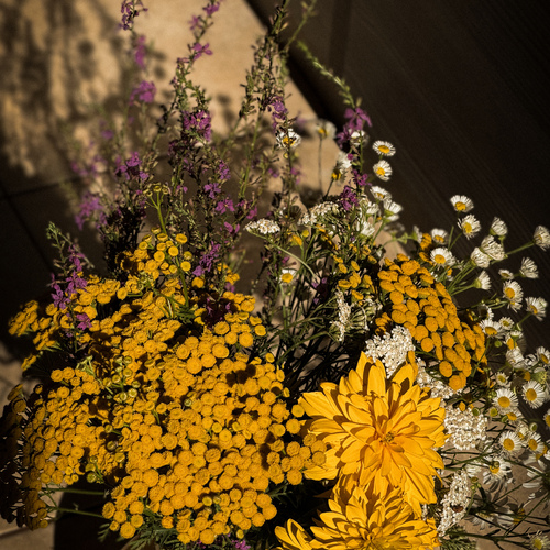 Photo #13993644