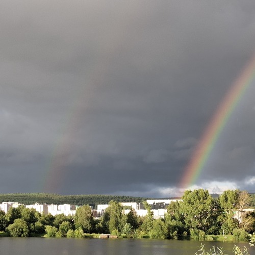 Photo #13993746