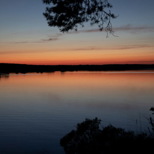 Photo #13993907