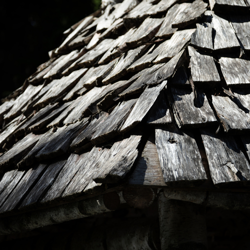 Photo #13993969
