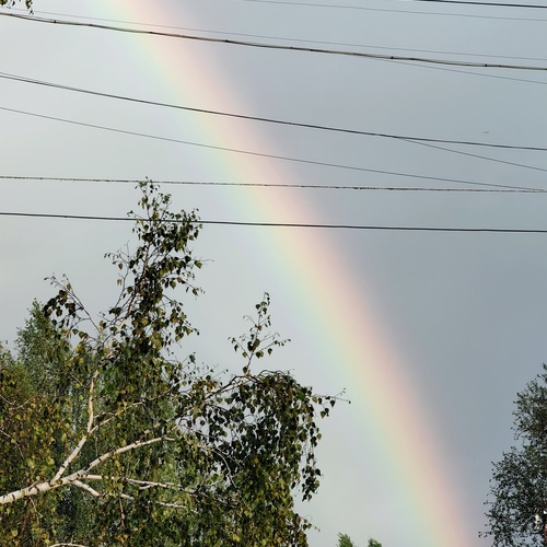 Photo #13994210