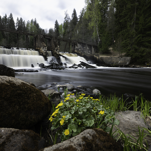 Photo #13994580