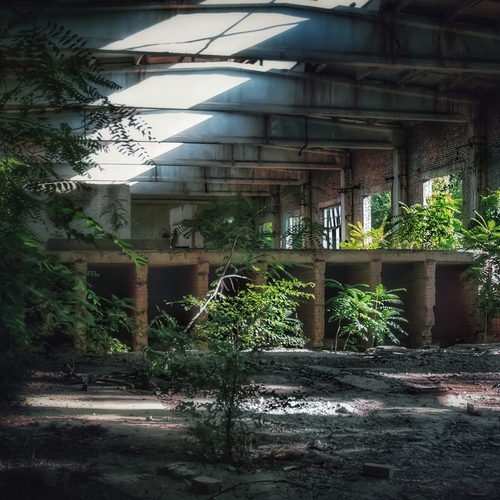 Photo #13994754