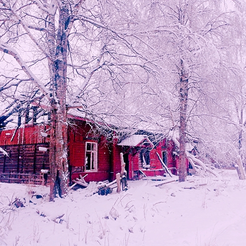 Photo #13994817