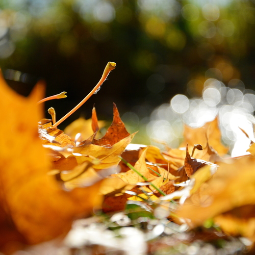Photo #13995011