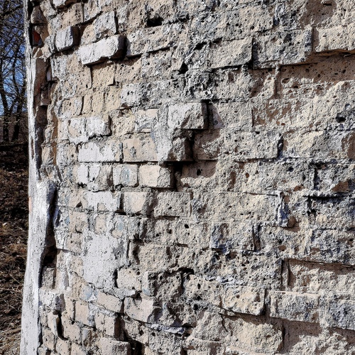 Photo #13995015