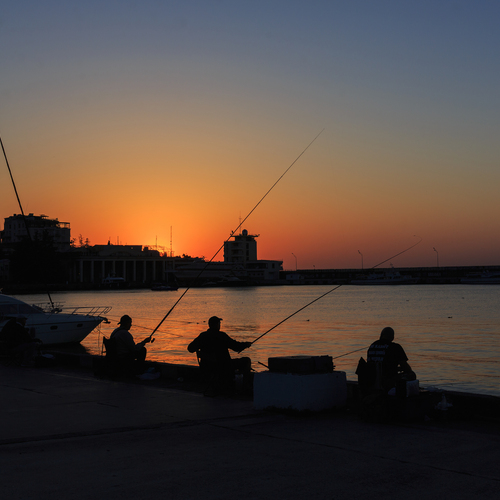 Photo #13995158