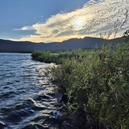 Photo #13995564