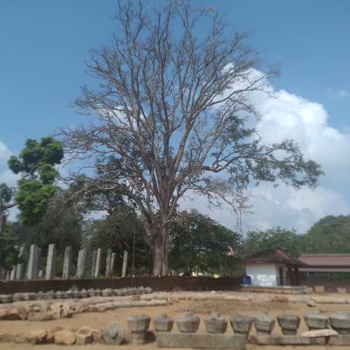 Puja Bhumi