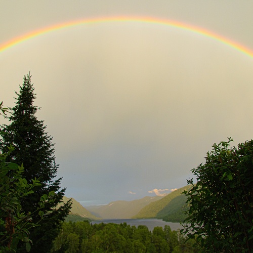 Photo #13995764