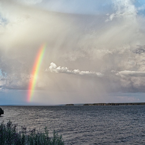 Photo #13995767