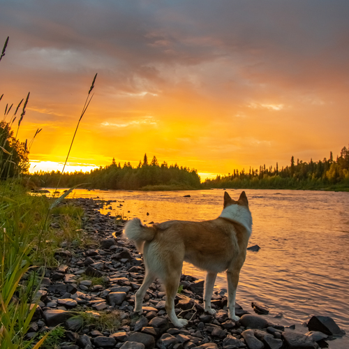 Photo #13995857