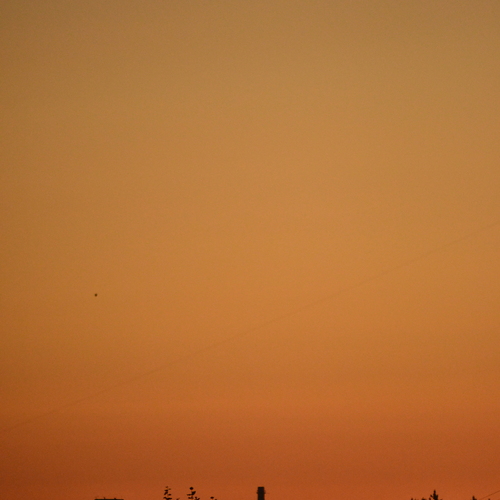 Photo #13995903