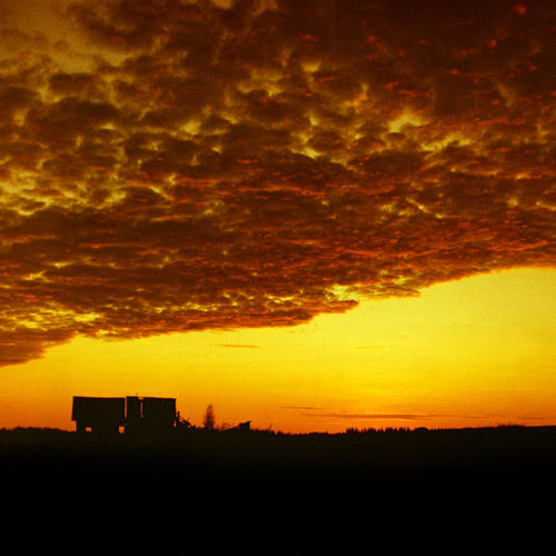 Photo #13996070