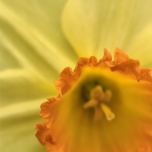 Photo #13996234
