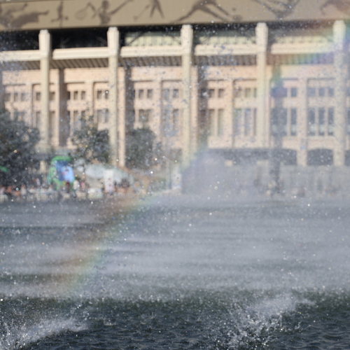 Photo #13996331