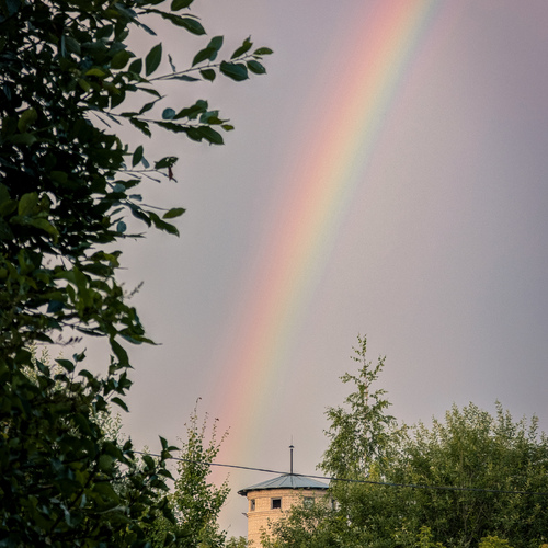 Photo #13996472