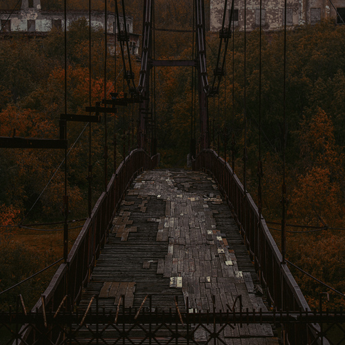 Photo #13996633