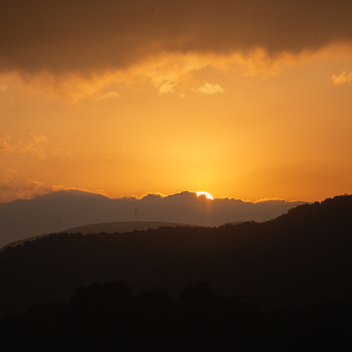 Photo #13996696