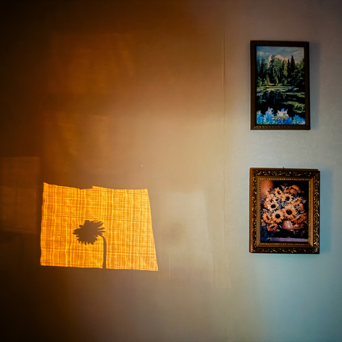 Photo #13996882