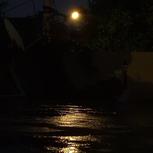 Photo #13997009