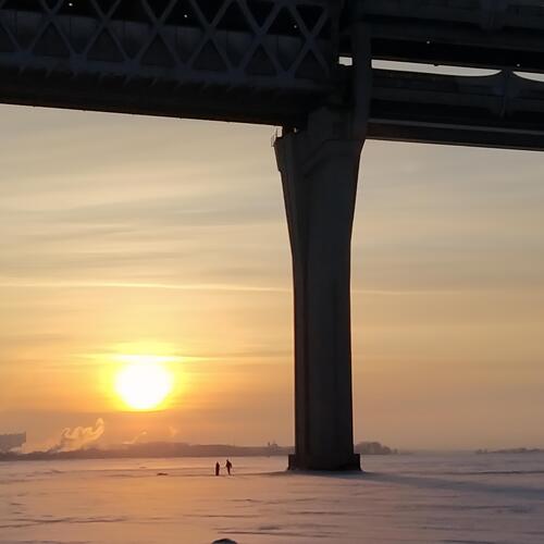 Photo #13997238