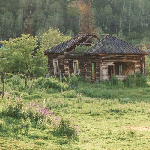 Photo #13997290