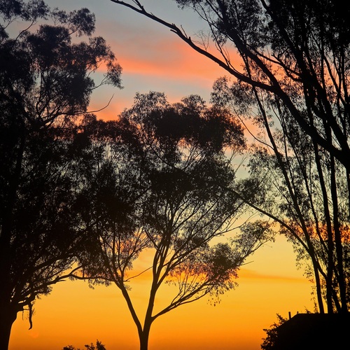 Photo #13997296