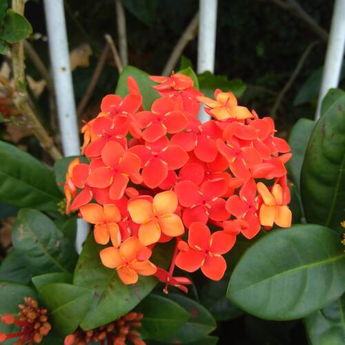 Photo #13997337