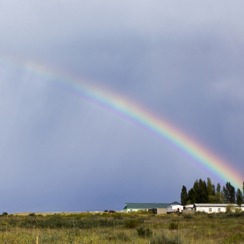 Photo #13997358