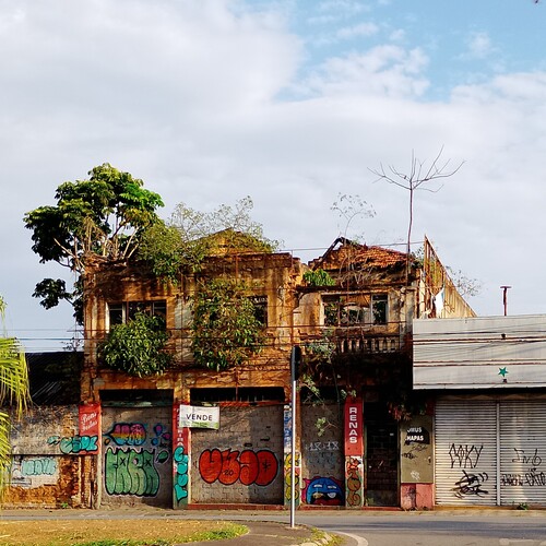 Photo #13997412