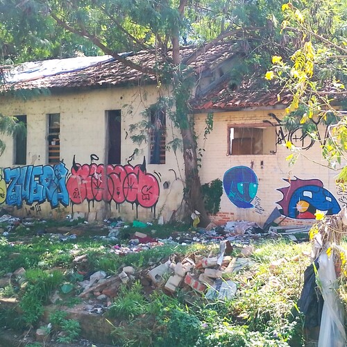 Photo #13997415
