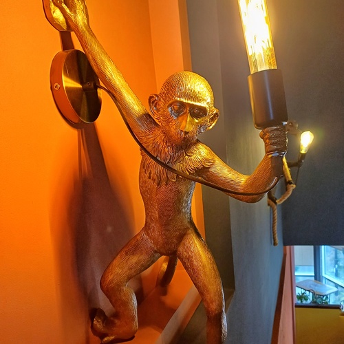 Photo #13997462