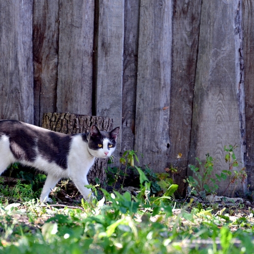 Photo #13997508