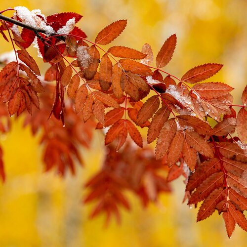 Photo #13997670