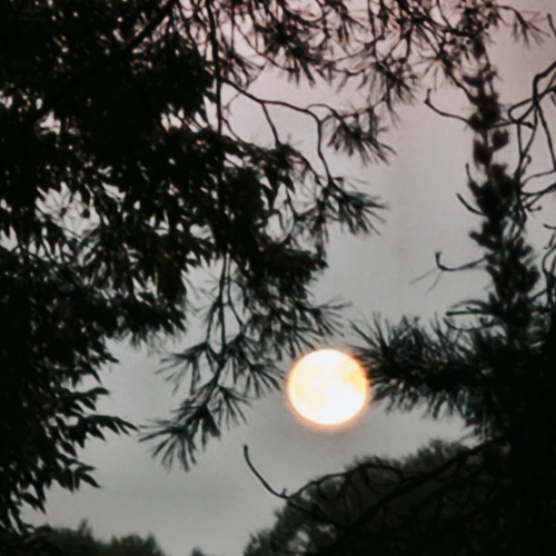 Photo #13997950