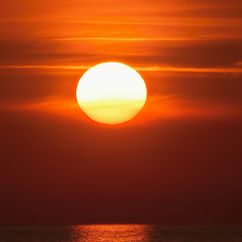 Photo #13997989