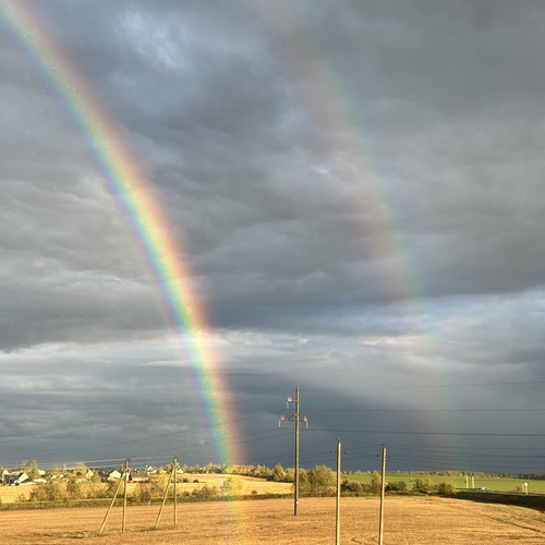 Photo #13998082