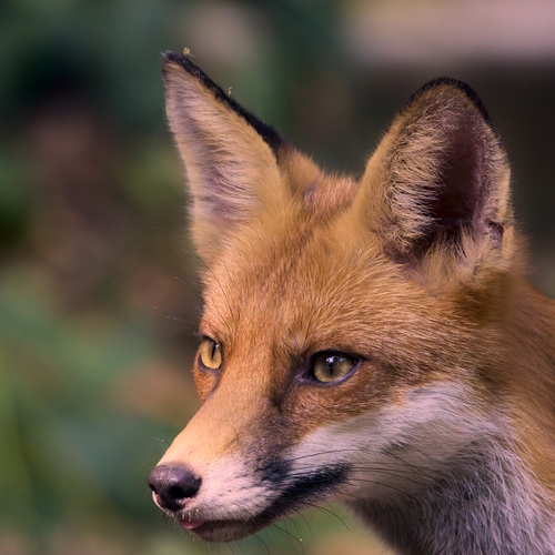 Photo #13998089