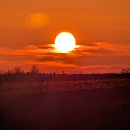 Photo #13998096