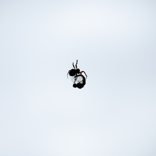 Photo #13998143