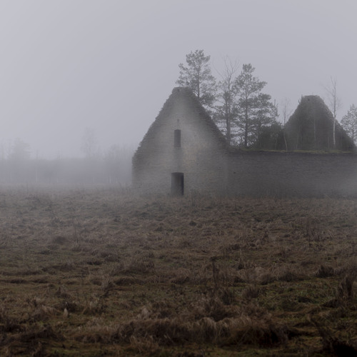 Photo #13998175