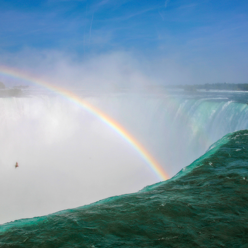 Photo #13998355